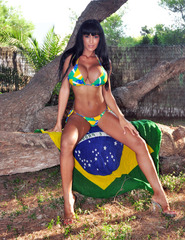 Viva Brazil - 1
