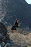 Amber Fox - 6