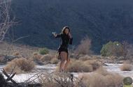 Amber Fox - 7